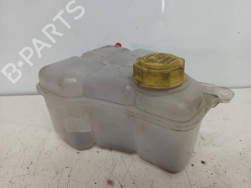 Expansion tank FORD FIESTA V (JH_, JD_)  | BP15219754C120 