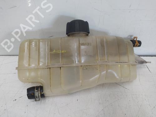 Used Expansion tank RENAULT CLIO III (BR0/1, CR0/1) [2005-2014]  26334696