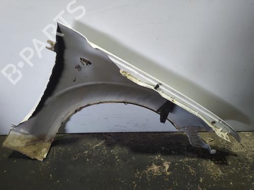 Left front fenders NISSAN PATHFINDER III (R51)  | BP12511365C41 
