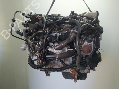 Engine FORD FIESTA VI (CB1, CCN) 1.4 TDCi | BP31854600M1