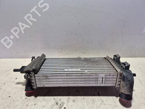 Intercooler FORD FOCUS III  | BP26007205M30 
