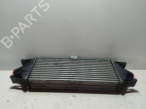 Intercooler IVECO DAILY IV Van  | BP21004253M30