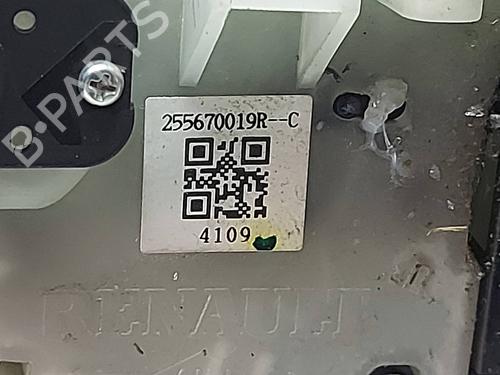 Headlight switch RENAULT SCÉNIC III (JZ0/1_)  | BP29919062I24