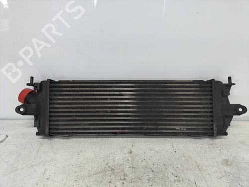 Intercooler NISSAN PRIMASTAR Van (X83) 2.5 dCi 150 | BP11091237M30 