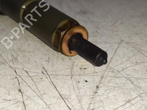 Injector BMW 3 (E46) 320 d | BP29972289M100