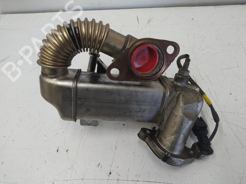 Egr NISSAN QASHQAI I (J10, NJ10)  | BP18109693M69 