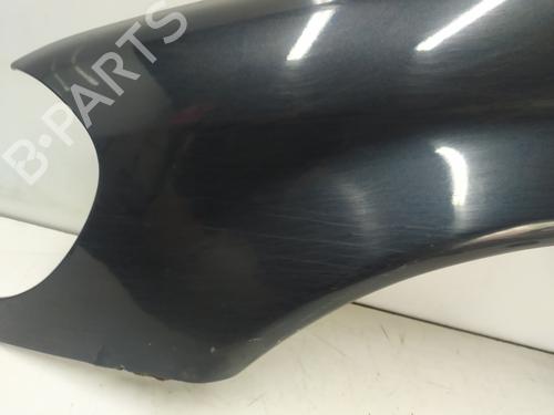 Left front fenders MERCEDES-BENZ M-CLASS (W163) ML 270 CDI (163.113) | BP18026848C41 