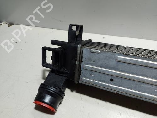 Intercooler RENAULT SCÉNIC III (JZ0/1_)  | BP18298651M30 