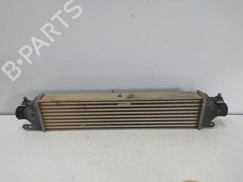 Used Intercooler FIAT DOBLO Cargo (263_) 1.3 D Multijet (90 hp) 12509989