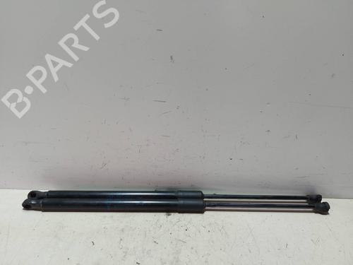 Used Tailgate lift support RENAULT CLIO V (B7_) [2019-2025]  20649807