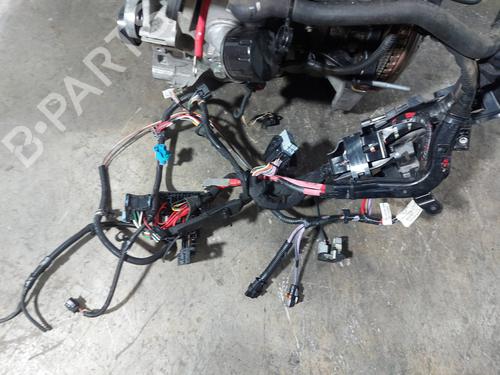 Engine RENAULT SCÉNIC III (JZ0/1_)  | BP29919069M1