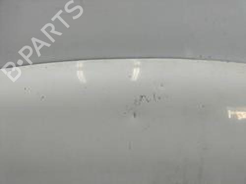 Hood VW GOLF III (1H1) 2.0 | BP8713857C1 