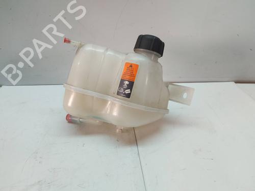 Expansion tank NISSAN QASHQAI II (J11, J11_)  | BP29573779C120 