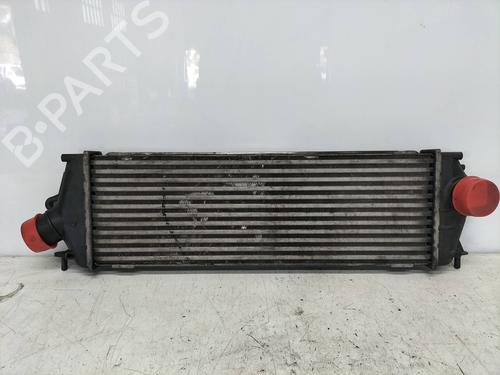 Intercooler NISSAN PRIMASTAR Van (X83) 2.5 dCi 150 | BP11091237M30 
