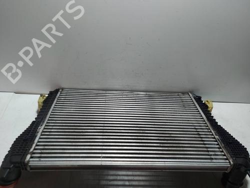 Intercooler VW GOLF VI (5K1) | BP31624290M30