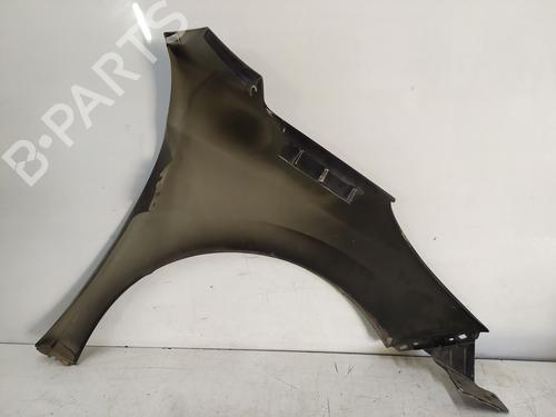 Left front fenders PEUGEOT 207 (WA_, WC_)  | BP29592033C41 