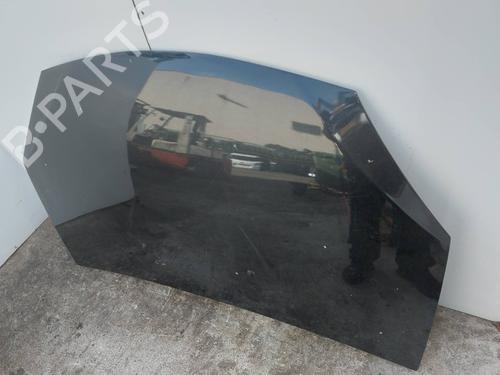 Hood DACIA SANDERO | BP31335167C1