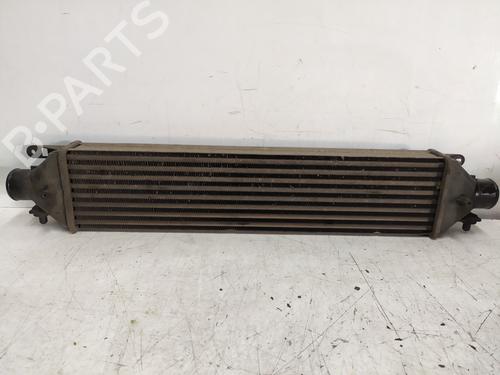 Intercooler FIAT BRAVO II (198_) 1.9 D Multijet (198AXB1A) | BP29824756M30 