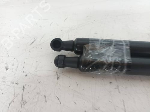 Tailgate lift support SEAT TOLEDO III (5P2)  | BP14156571C138 