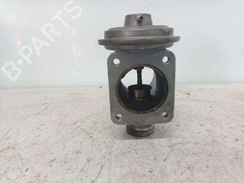 Egr BMW 3 (E46) 320 d | BP11810470M69 