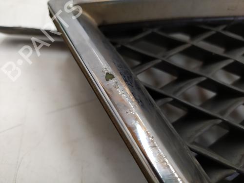 Grill FORD FOCUS C-MAX (DM2)  | BP31648667C40 