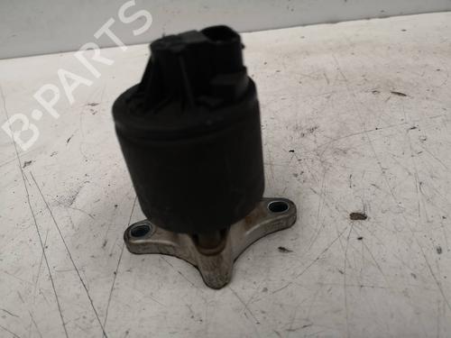 Egr OPEL ASTRA F Estate (T92) 1.6 i (F35, M35) | BP8699795M69 