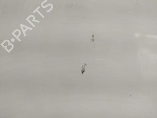 Right front fenders OPEL VIVARO A Van (X83) | BP30549304C42