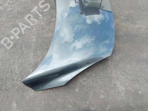 Hood RENAULT SCÉNIC III (JZ0/1_)  | BP18162489C1