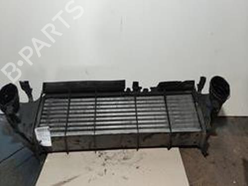 Used Intercooler MERCEDES-BENZ C-CLASS Coupe (CL203) [2001-2011]  8699163