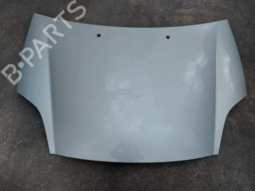 Used Hood FIAT BRAVO II (198_) 1.6 D Multijet (198AXH1B) (105 hp) 19487768