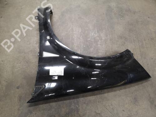 Left front fenders RENAULT MEGANE II (BM0/1_, CM0/1_) 1.9 dCi (BM0G, CM0G) | BP8709869C41 