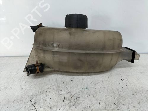Used Expansion tank NISSAN PRIMASTAR Van (X83) 2.5 dCi 150 (145 hp) 11091265