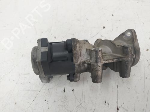Egr LAND ROVER DISCOVERY III (L319) 2.7 TD 4x4 | BP19330469M69 