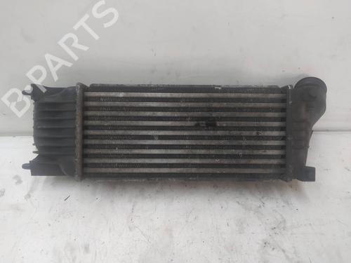 Intercooler PEUGEOT 407 SW (6E_, 6D_) | BP10732728M30