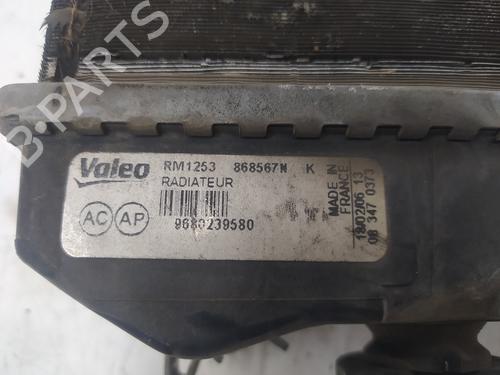 Køler CITROËN C3 I (FC_, FN_)  | BP17192834M31 