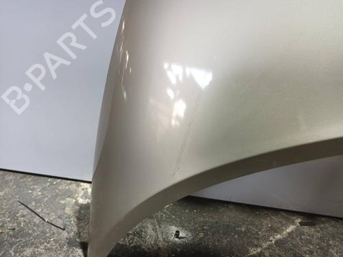 Hood RENAULT SCÉNIC II (JM0/1_) 1.9 dCi (JM0G, JM12, JM1G, JM2C) | BP11753415C1 