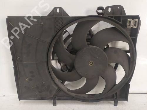 Radiator fan PEUGEOT 207 (WA_, WC_)  | BP29376726M35 