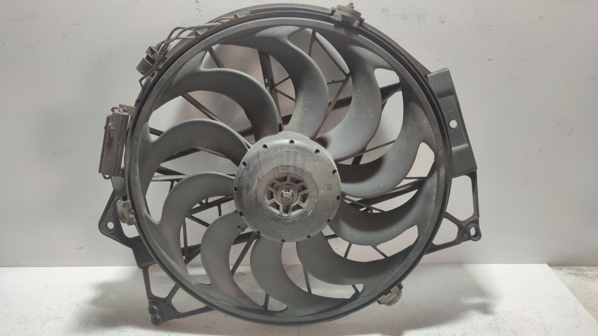 Motorkühlung BMW 3 Compact (E36) 318 tds 10779035 | B-Parts 