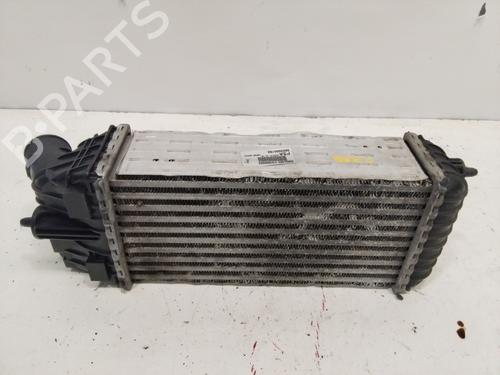 Intercooler PEUGEOT 2008 I (CU_) 1.6 VTi | BP27392958M30 
