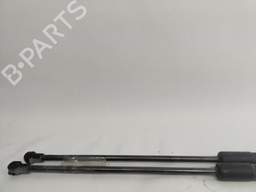 Tailgate lift support SEAT IBIZA IV SC (6J1, 6P5)  | BP24366756C138 