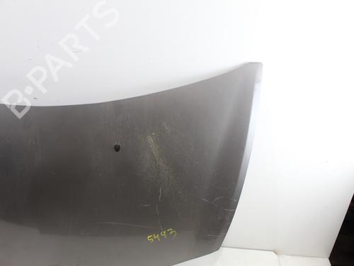 Hood RENAULT CLIO III (BR0/1, CR0/1) 1.5 dCi (C/BR0G, C/BR1G) | BP16708552C1 