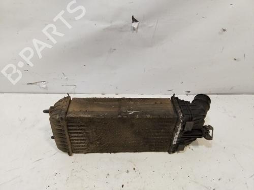 Intercooler CITROËN C3 II (SC_)  | BP29441079M30 