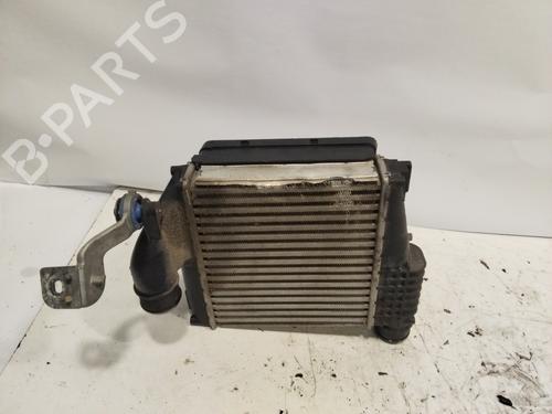 Intercooler OPEL COMBO Box Body/MPV (K9)  | BP29533324M30 