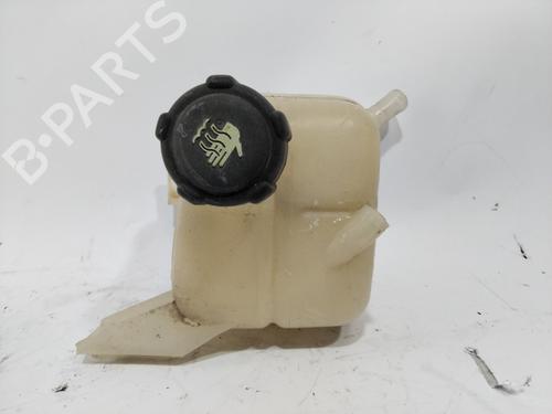 Used Expansion tank RENAULT KOLEOS I (HY_) 2.0 dCi (HY0K) (150 hp) 28538661