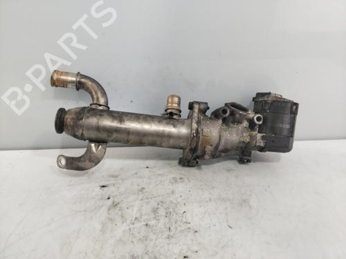 Used Egr CITROËN C5 I (DC_) 2.2 HDi (DC4HXB, DC4HXE) (133 hp) 20599256