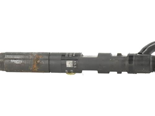 Injector RENAULT MEGANE II (BM0/1_, CM0/1_) 1.5 dCi (BM1F, CM1F) | BP30690929M100