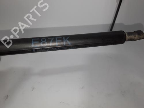 Hood lift support BMW 1 (E87)  | BP14055591C139 
