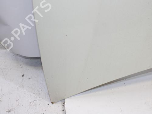 Hood FIAT BRAVO II (198_) 1.6 D Multijet (198AXH1B) | BP18891535C1 