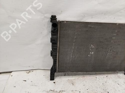 Water radiator FORD TRANSIT CONNECT V408 Box Body/MPV  | BP29547665M31 
