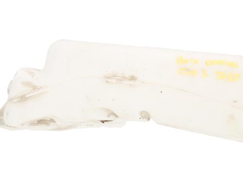 Deposito limpia RENAULT CLIO III (BR0/1, CR0/1) [2005-2014]  30824133